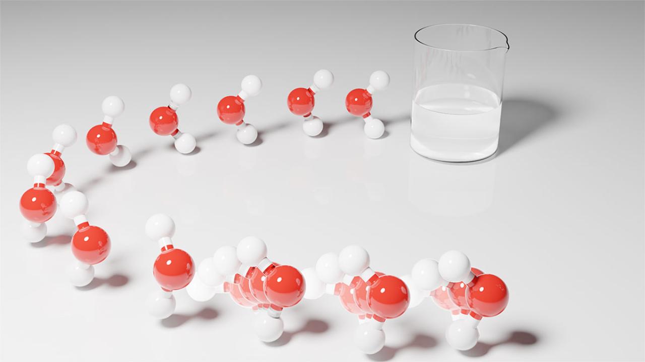 The Collective Dance of Water Molecules
