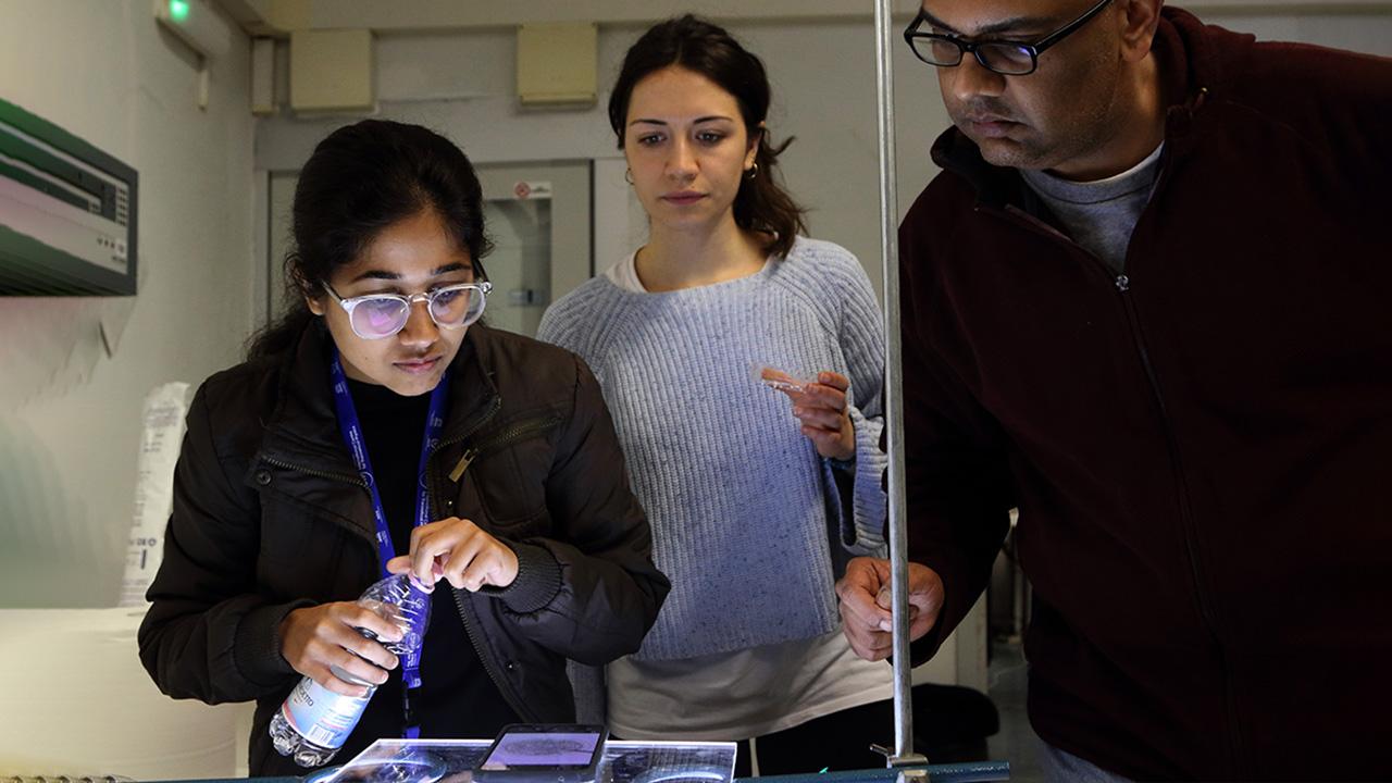 Trieste–Indonesia Scientific Collaboration 