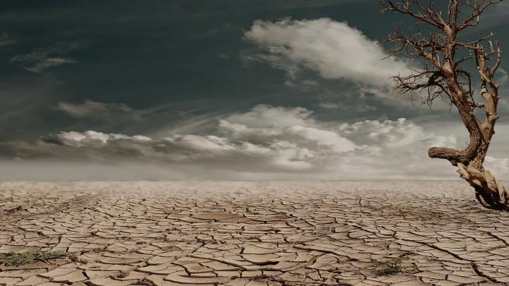 Arid and deserted land due to drought