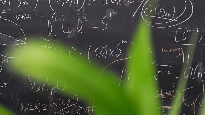 blackboard with plant in front of it