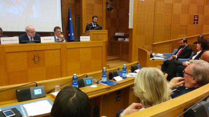 ICTP Director Fernando Quevedo presents ICTP to the Italian Parliament