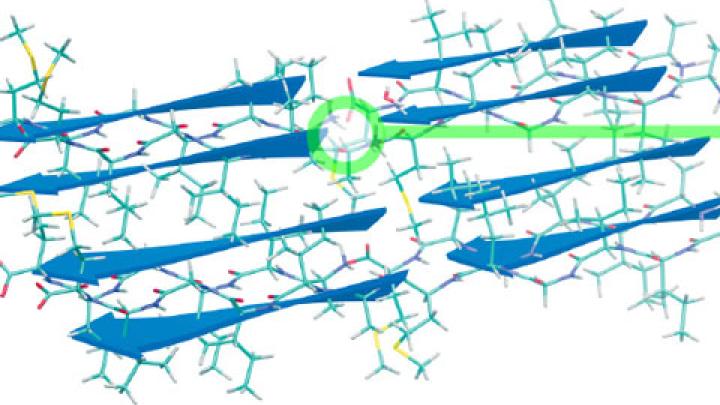 Where Physical Chemistry Meets Biology Where Physical Chemistry Meets Biology