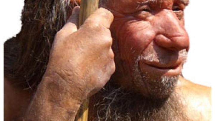 New study supports theory that Neanderthals could speak