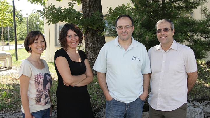 2012 TRIL Fellows U. Kolat, Y. Iscan Alp, M. Burca and S. Yari