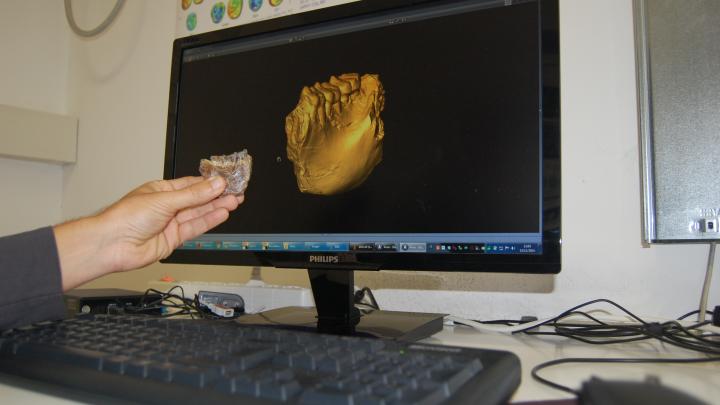 Bernardini shows the fossil and its virtual rendering on the screen