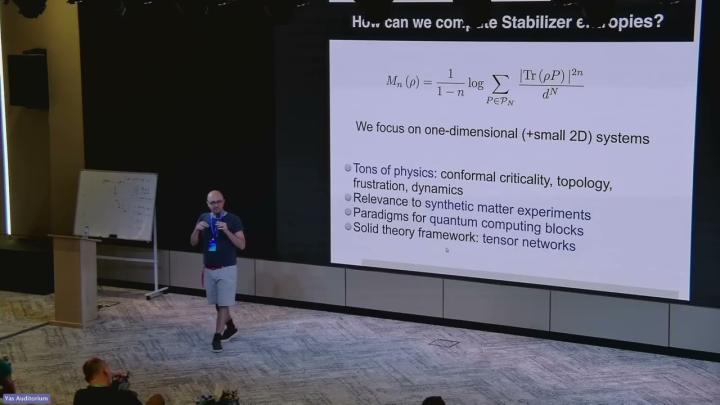 Embedded thumbnail for Magic in gauge theories and tensor network states